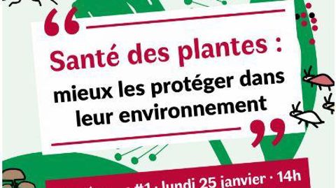 Les lundis 25 janvier, 1er et 8 février 2021, de 14 h à 16 h, trois conférences en ligne permettront d’aborder diverses facettes de la santé des plantes.©SNHF